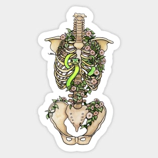 Torso of Life 2 Sticker